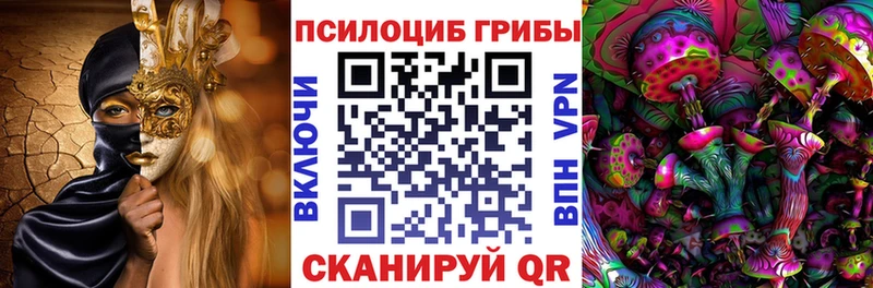 Галлюциногенные грибы Psilocybine cubensis  Искитим 